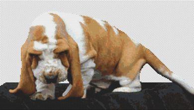 (image for) Puddles